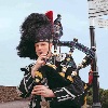 Trains to and from Edinburgh and greater Scotland.